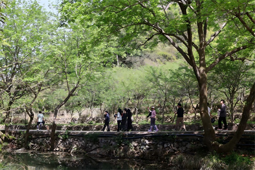 Happy Team Building w Zhong Yandang Mountain